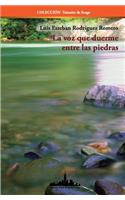La voz que duerme entre las piedras