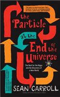 Particle at the End of the Universe
