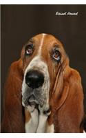 Basset Hound: Pocket Notebook for Pets, Critters and All Kinds of Animal Lovers