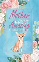 Mother of the World's Most Amazing Chihuahua