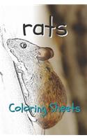 Rat Coloring Sheets: 30 Rat Drawings, Coloring Sheets Adults Relaxation, Coloring Book for Kids, for Girls, Volume 13
