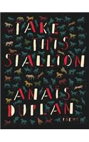 Take This Stallion