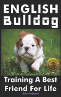 English Bulldog