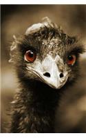 Emu