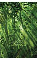 Leaf Streaks Notebook: Blank Journal Diary Log(22 Go Green 150 Lined)
