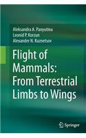 Flight of Mammals: From Terrestrial Limbs to Wings