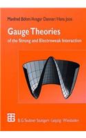 Gauge Theories