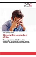 Desempleo Juvenil En Chile