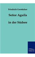 Senor Aguila