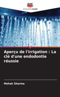 Aperçu de l'irrigation: La clé d'une endodontie réussie