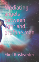 Mediating angels between light and profane man: (7 Meditation and Kabbalah)