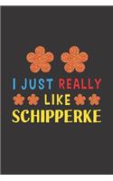 I Just Really Like Schipperke