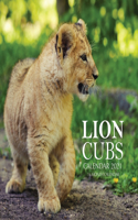 Lion Cubs Calendar 2021