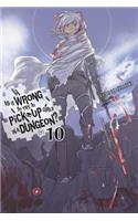 Is It Wrong to Try to Pick Up Girls in a Dungeon?, Vol. 10 (light novel): Volume 10