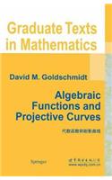 Algebraic Functions and Projective Curves