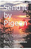 Send it by Pigeon