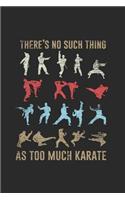There's No Such Thing As Too Much Karate