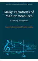 Many Variations of Mahler Measures