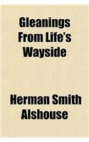 Gleanings from Life's Wayside