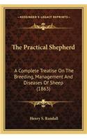 The Practical Shepherd