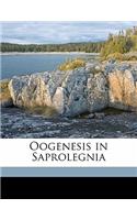 Oogenesis in Saprolegnia