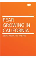 Pear Growing in California