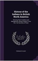 History of the Indians in British North America: Showing Their Condition and Management, Being a Report to the Hon. the Secretary of State