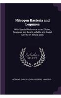 Nitrogen Bacteria and Legumes