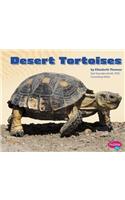 Desert Tortoises