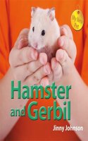 My New Pet: Hamster and Gerbil: (My New Pet)