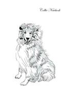 Collie Notebook Record Journal, Diary, Special Memories, To Do List, Academic Notepad, and Much More