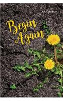 Begin Again