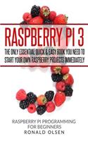 Raspberry Pi