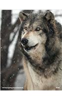 Wolves of Wolf Park Renki Notebook