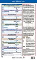 Newborn Coding Decision Tool 2017
