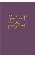 You Can't Fix Stupid