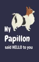 My Papillon said HELLO to you