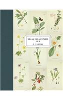 Vintage Botany Prints: Vol. 8