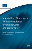 Immobilised Biocatalysts for Bioremediation of Groundwater and Wastewater