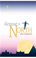 Sense of North