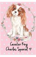 Cavalier King Charles Spaniel