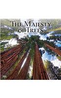 Majesty of Trees, the 2020 Square