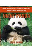 Giant Panda