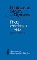 PHOTOCHEMISTRY OF VISION