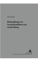 Behandlung Von Sexualstraftaetern Im Strafvollzug