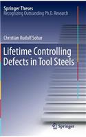 Lifetime Controlling Defects in Tool Steels