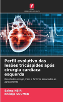 Perfil evolutivo das lesões tricúspides após cirurgia cardíaca esquerda