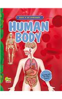 Human Body: Key stage 2: (Science in Our Environment)