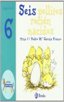 Seis pollitos recien nacidos / Six Newborn Chicks