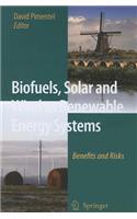 Biofuels, Solar and Wind as Renewable Energy Systems